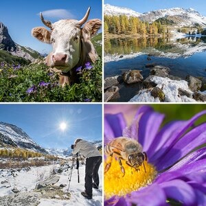 Nature Photography