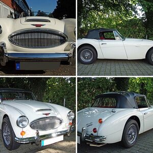 Austin Healey