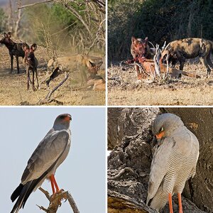 Namibia 08