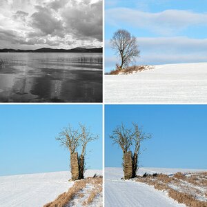 Natur
