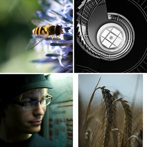 Bilder