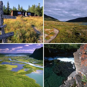 Fjällsommer 2008 Thread (filmbasiert)