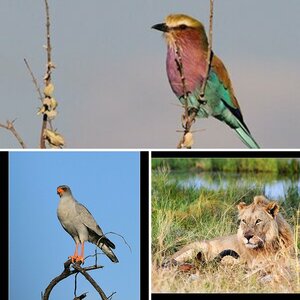 Namibia