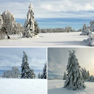 Winterlandschaften