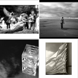 Monochrome