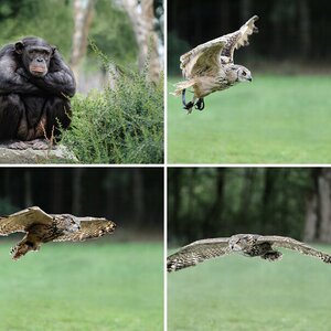 Zoo