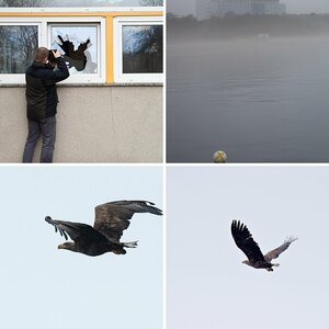 Usedom2009