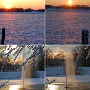 Winter 2010