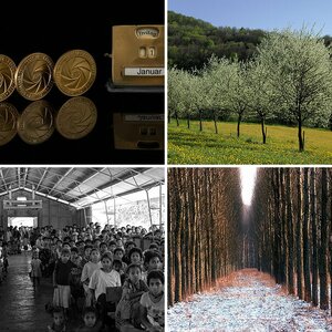 Contest-Bilder