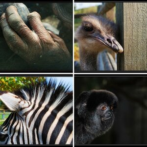 Zoobesuch