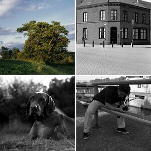 6x6 Diverses