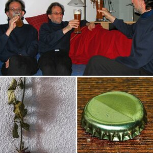 Bier