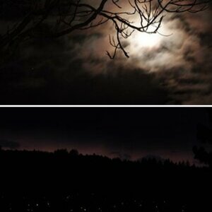 Abendlichter