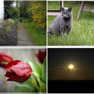 Diverses 10