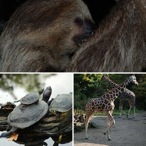 Zoo Duisburg