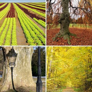 Landschaft