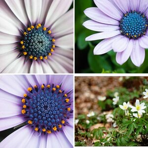 Natur