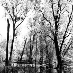 Natur und landschaft