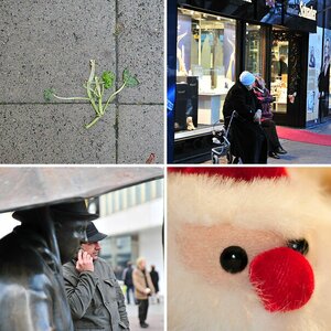 Bilder von Steffen