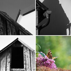 D80-Bilder