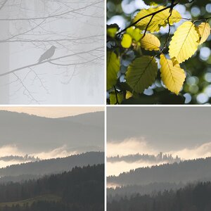 Natur