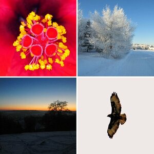 Versuchsbilder