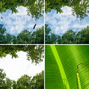 Landschaft / Natur