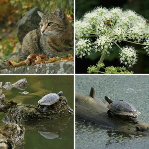 Naturfotografie