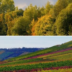 Herbst