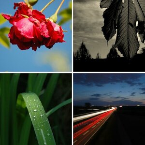 Meine Bilder