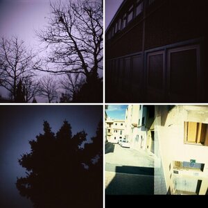Lomo toy