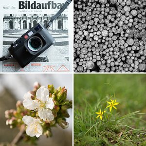 Dies & Das - Forum