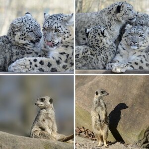 Zoo