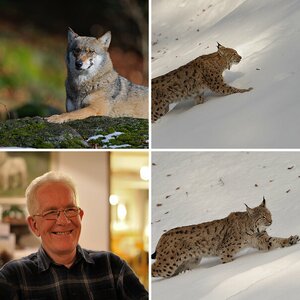 Bayerischer Wald November 2011