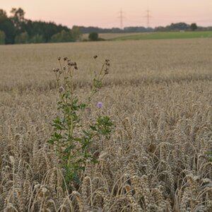 Test D7100