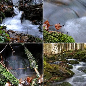 Bayerischer Wald