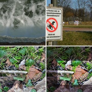 Bilder in Beiträgen