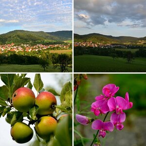 Testbilder