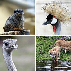 Tierpark Augsburg im November