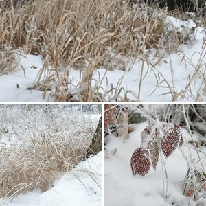 schneespaziergang mit der d90