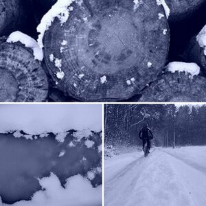 Winterimpressionen am Niederrhein