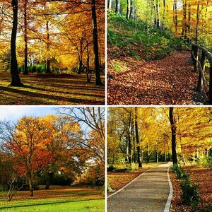 Herbstbilder