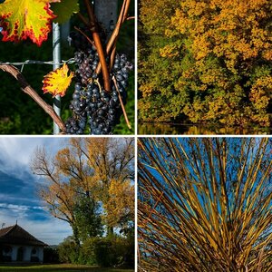 Herbst