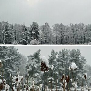 Wintertag