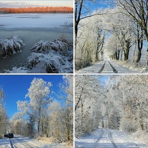 Hasenmoor November 2010