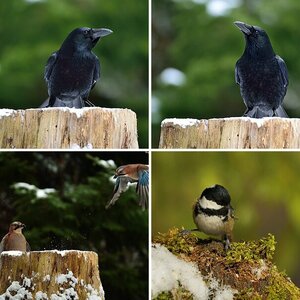 Winteransitz 2012/13-2