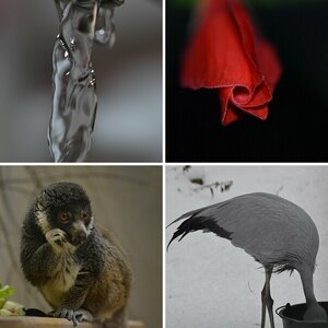 Makrofotografie