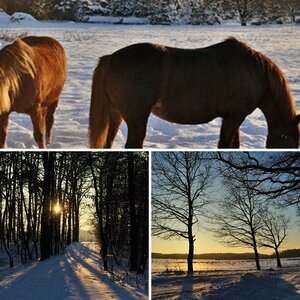 Winterimpressionen