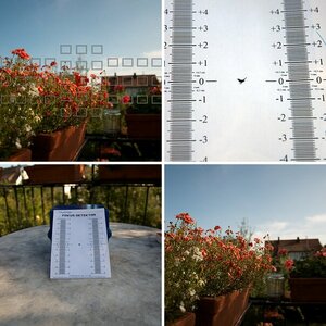 AF-Test