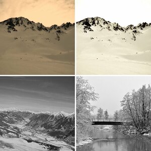 Winter 2010